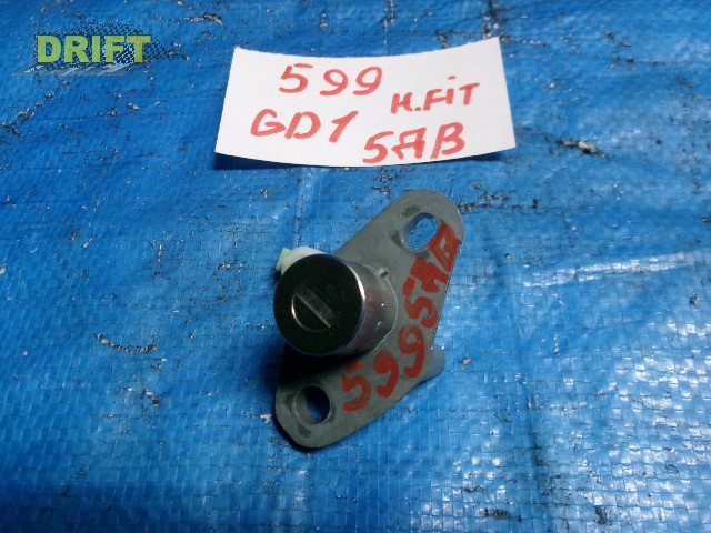 личинка замка