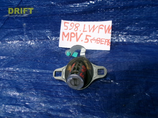 личинка замка