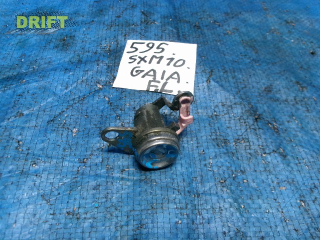 личинка замка